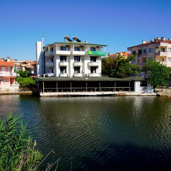 Olive Branch Hotel，位于艾瓦勒克的酒店