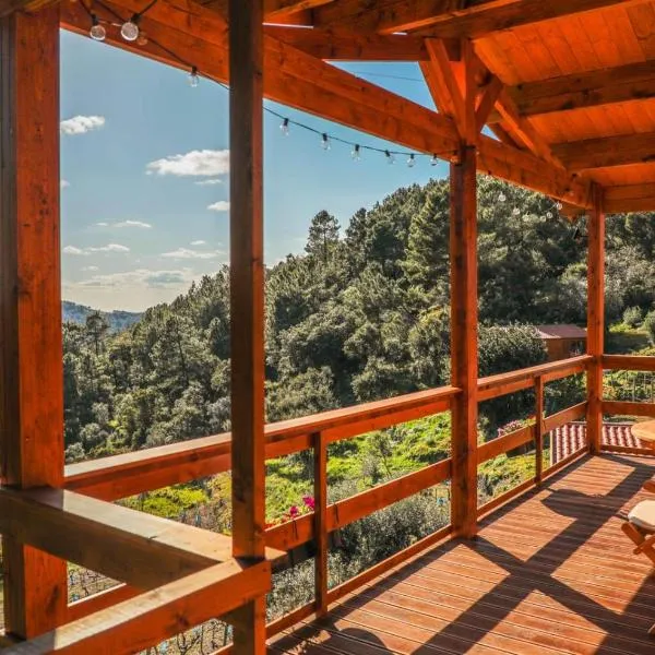 Quinta Altamira，位于波塔莱格雷的酒店