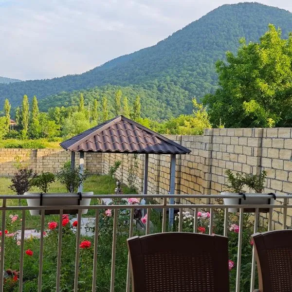 Riverfront Chalet Gabala，位于盖贝莱的酒店