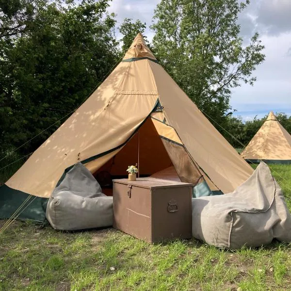 Boltinge Glamping，位于Ringe的酒店