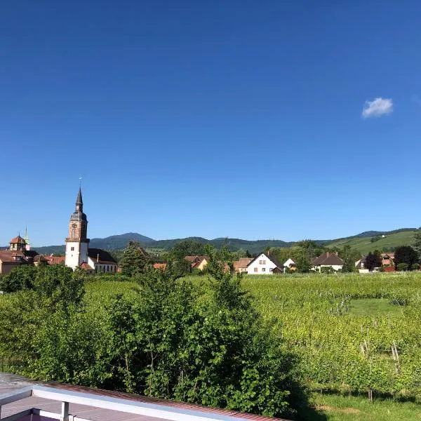 Domaine Rosfelder - locations de gîte et cabane insolite，位于奥贝奈的酒店