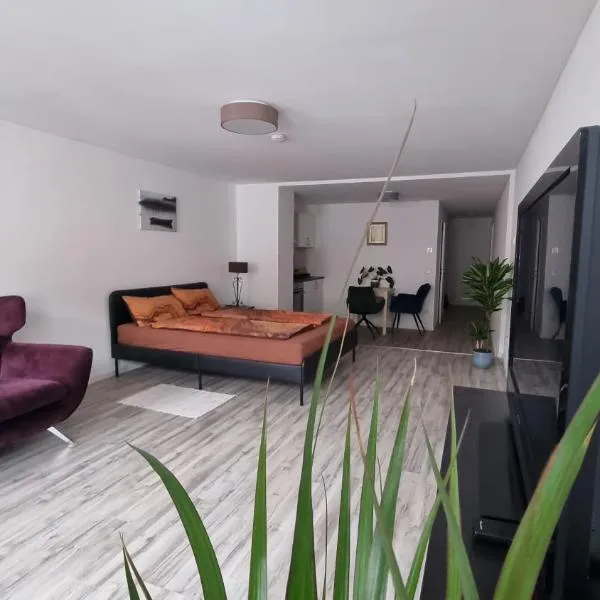 Studio- Gemütlich, Charmant, Zentral，位于莱希河畔兰茨贝格的酒店