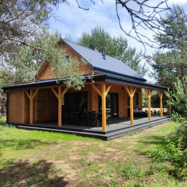 GOOD PLACE nad Jeziorem Białym，位于戈斯蒂宁的酒店