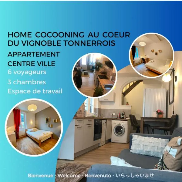 Appartement au coeur du vignoble tonnerrois，位于托内尔的酒店