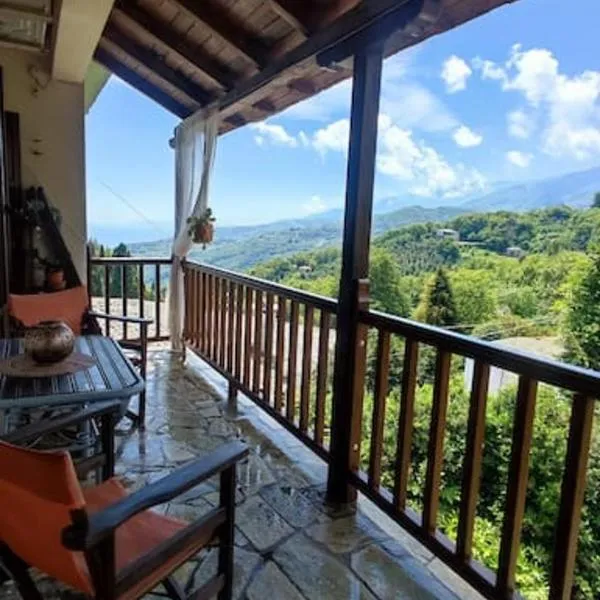 Xrysanthi's dream house，位于扎戈拉的酒店