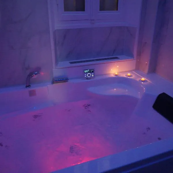 L'Experience Appartement & SPA Privé CHAMBERY，位于尚贝里的酒店