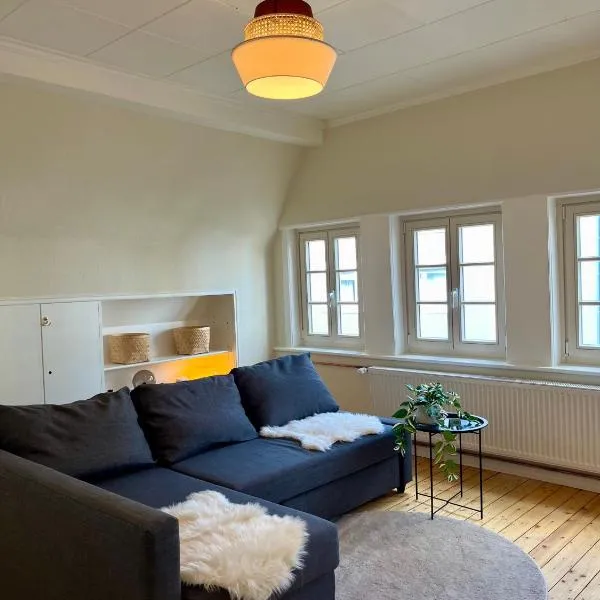 Goldlöckchen, 80 qm 2-Room Apartment im Herzen der Detmolder Innenstadt，位于代特莫尔德的酒店