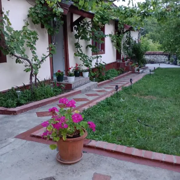 Casa Dragoi din Socolari, 218, Caras - Severin，位于Socolari的酒店