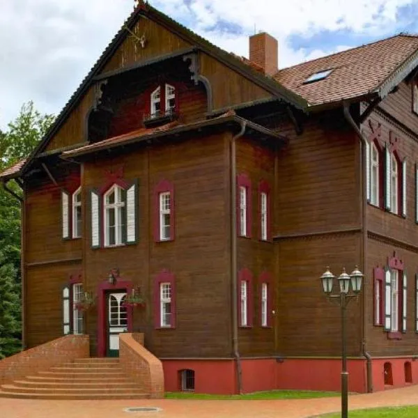 Jagdschloss Waldsee，位于Wokuhl的酒店