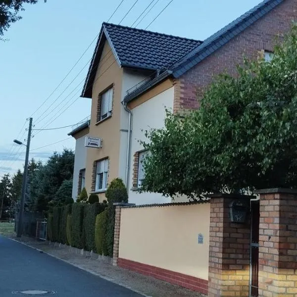 Pension Romann und Bauernferienhof，位于Annaburg的酒店