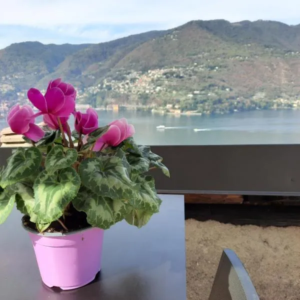 Luxury Room La Terrazza sul Lago di Como，位于布里维奥的酒店