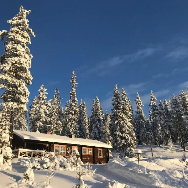 Fjällstuga Lofsdalen，位于洛夫斯达伦的酒店