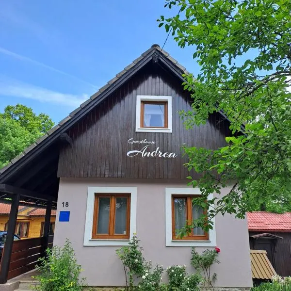 Guesthouse Andrea，位于Saborsko的酒店