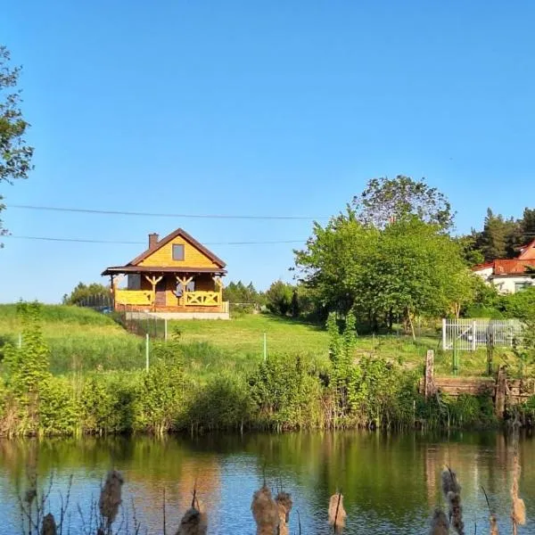 Domek Nad Stawem Bory Tucholskie，位于Świekatowo的酒店