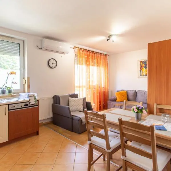 Viky's Apartment，位于杰尔的酒店