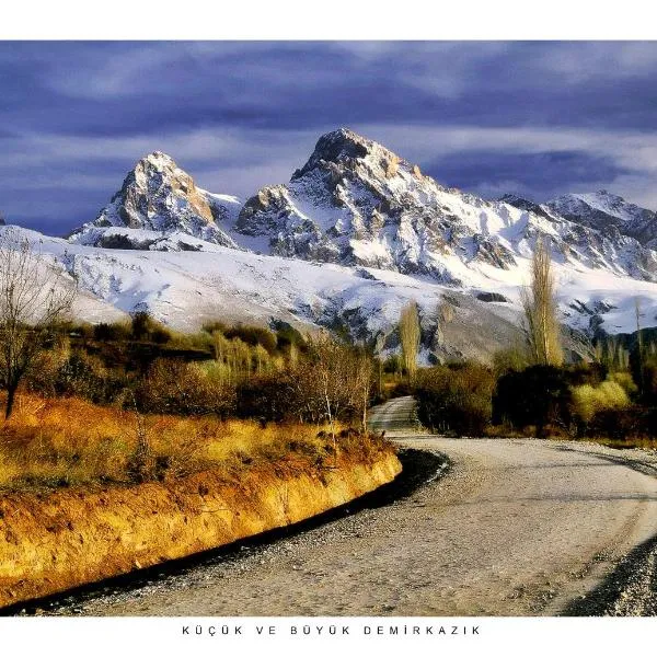 金牛宾馆 ，位于Çukurbağ的酒店