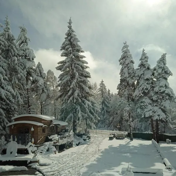 Domaine de la Mamounette，位于Champclause的酒店