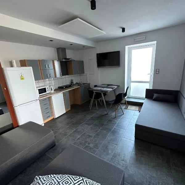 Sunrise Apartamenty，位于Chocicza的酒店