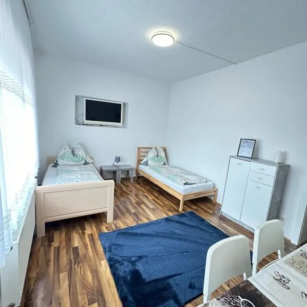 Appartement Schwanenstadt，位于Lambach的酒店