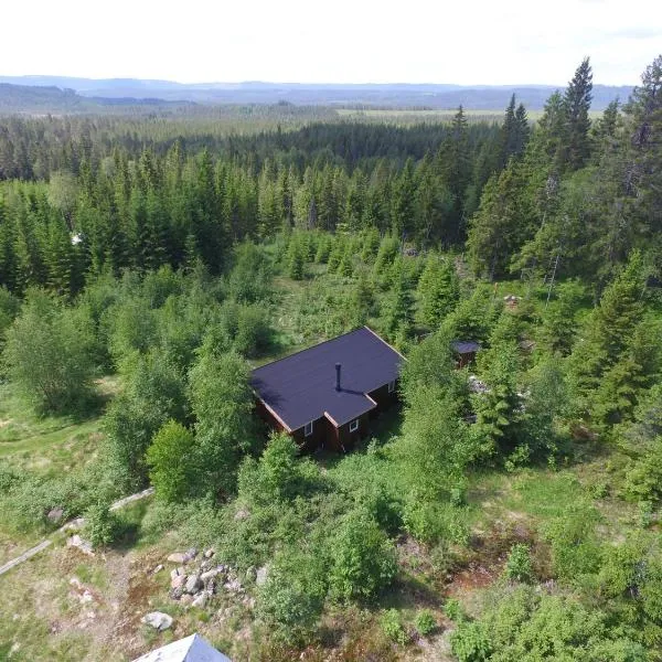 Cozy forest cabin with amazing mountain view，位于Långav的酒店