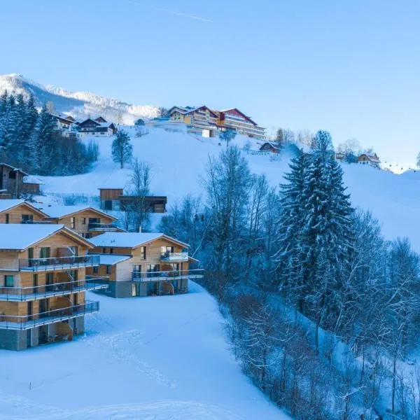 Panorama Lodge Premium Apartments，位于斯拉德明的酒店