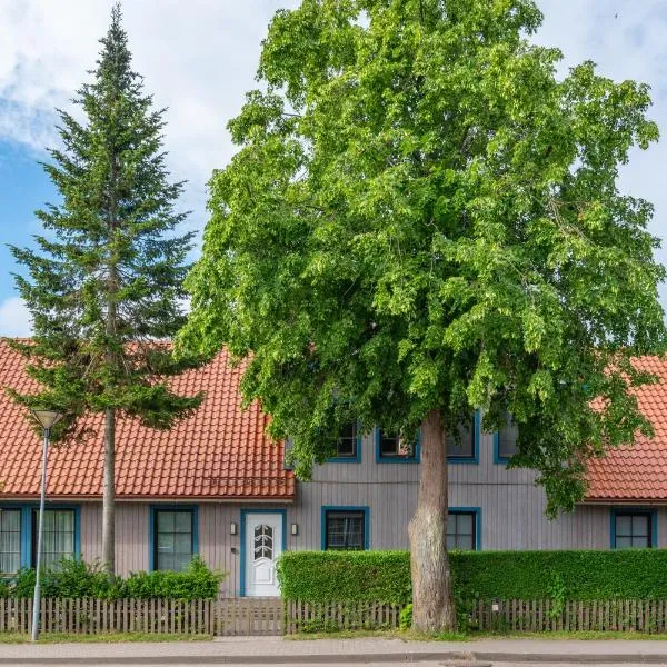 Egidijaus Vila，位于奈达的酒店