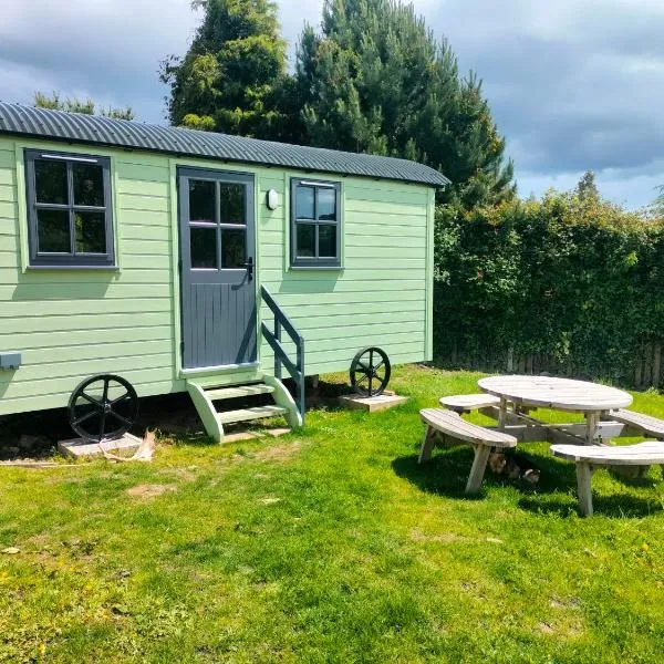 Shepherd's Hut in nature，位于威克洛的酒店