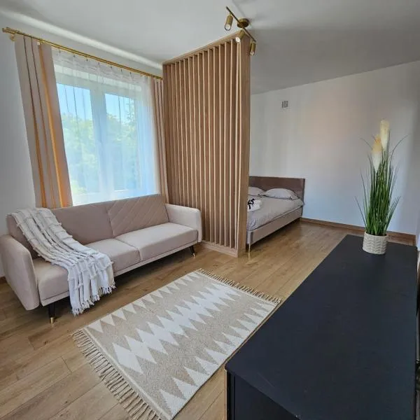 Apartament Centrum Nowa Dęba，位于Nowa Dęba的酒店