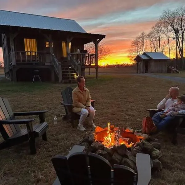 Cozy King Cabin Near Waterfalls & Center Hill Lake Cabin 3，位于Smithville的酒店