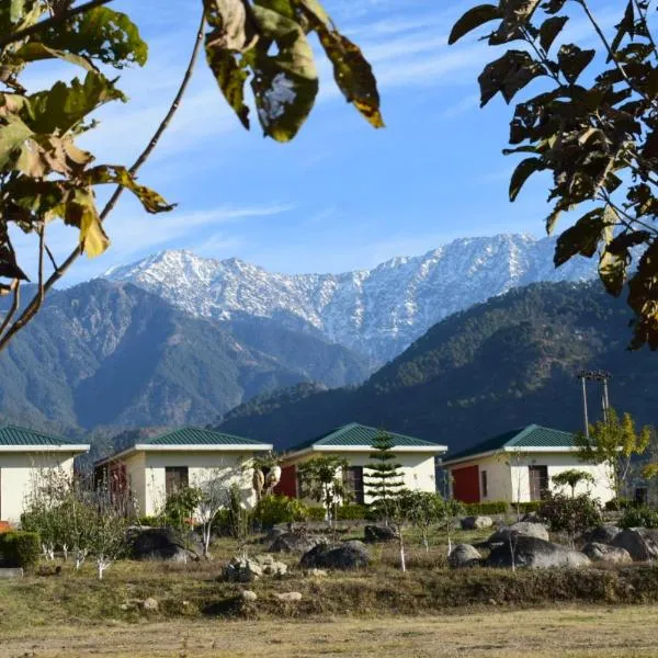 Dhauladhar View Village Resort，位于达兰萨拉的酒店