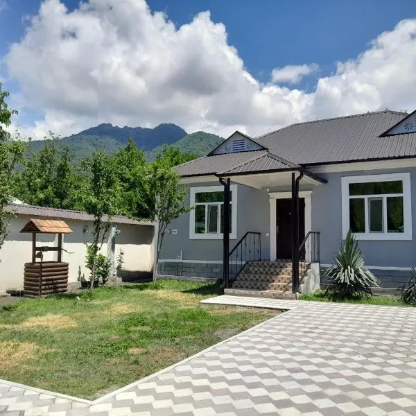 Gabala villa Exceptional，位于Yengica的酒店