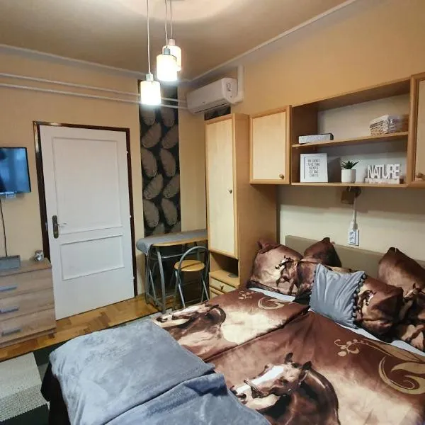 Ágnes Vendégházak Siófok-apartman 1，位于希欧福克的酒店
