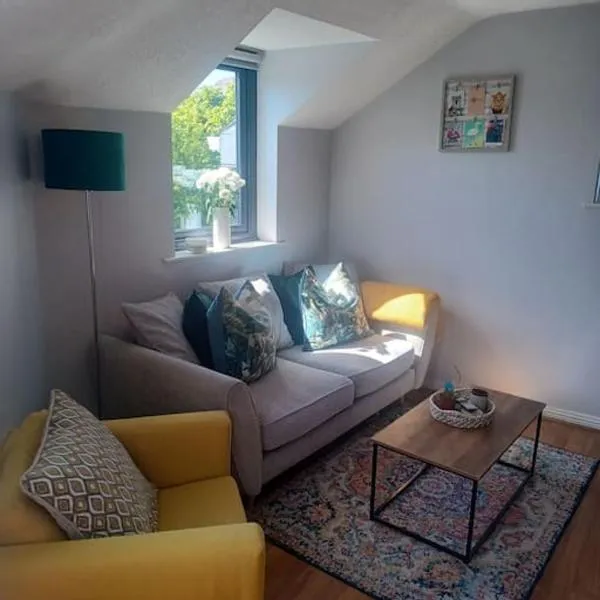 Quirky apartment in Ennis town with private access，位于Clarecastle的酒店