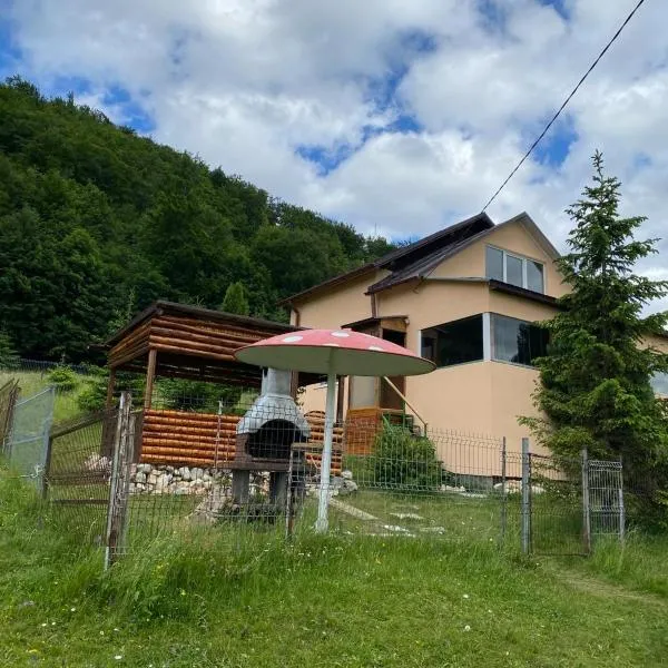 Vila Luca，位于Ciocanu的酒店