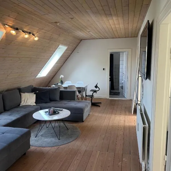 Penthouse apartment in Esbjerg townhouse，位于埃斯比约的酒店