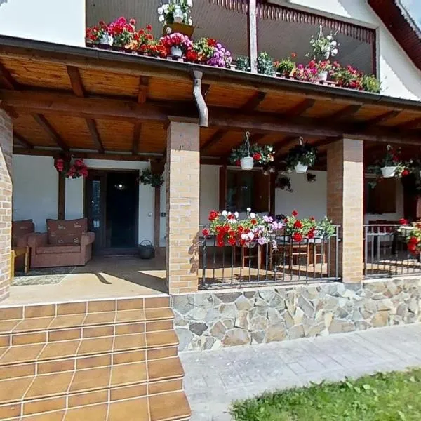 Casa Marco，位于Dragosloveni的酒店