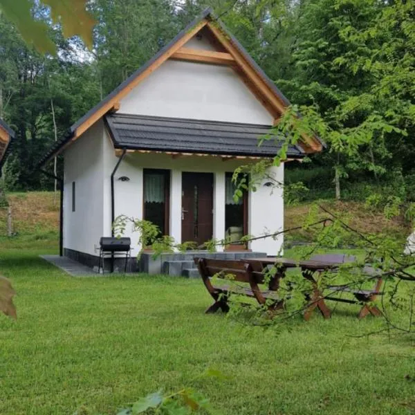 Domki na Wypasie，位于Polana的酒店