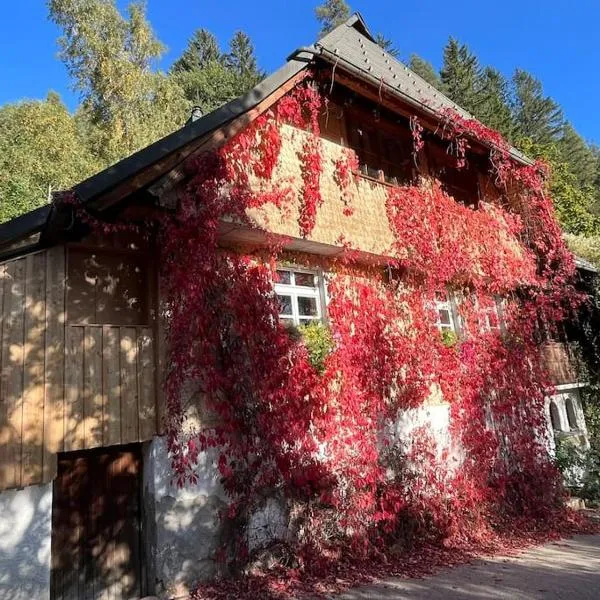 Auszeit am Kreisbach，位于特里贝格的酒店