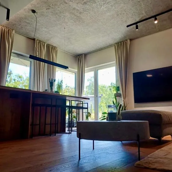 Modern Apartment w Zielonym Centrum Miasta，位于罗兹的酒店