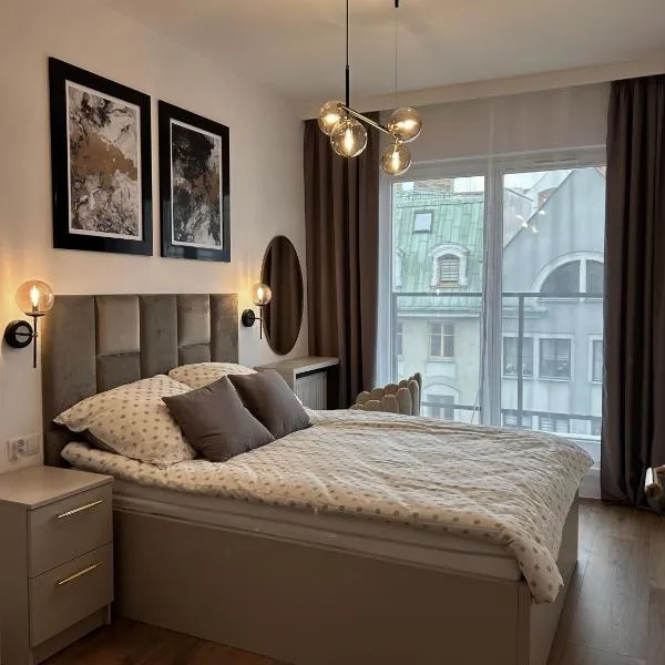 Apartament Stare Miasto，位于埃尔布隆格的酒店