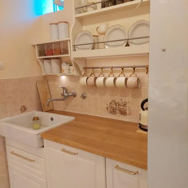 Apartma Belin with garden and private parking，位于皮兰的酒店