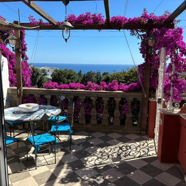 LUXURY HOUSE in VILLA POMPEIANA via CAMERELLE con TERRAZZA VISTA MARE，位于卡普里的酒店