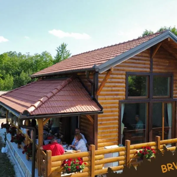 Brvnara Beni，位于维尔蒂尼克的酒店