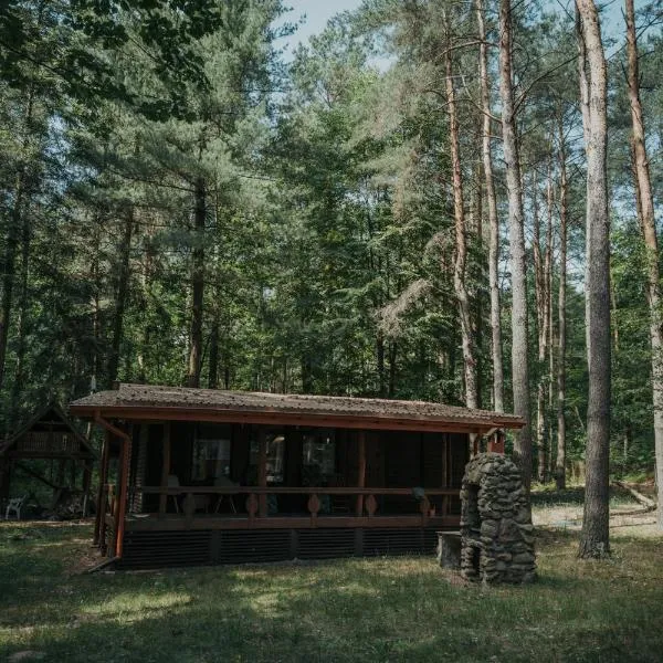 Forest Cabin - 50min od Warszawy，位于Borucza的酒店