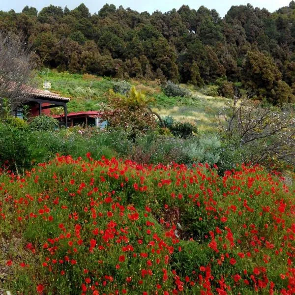 Casa el Retiro en Mazo，位于圣克鲁斯-德拉帕尔马的酒店