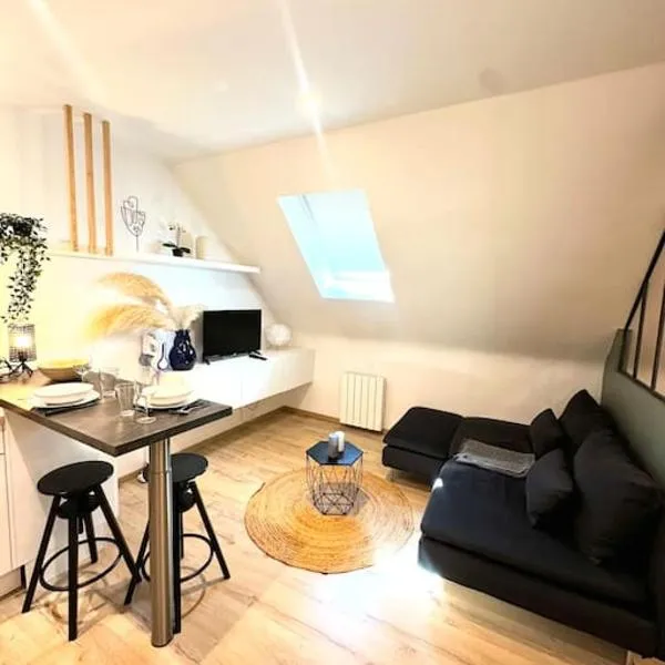 Charmant studio hyper centre，位于罗德兹的酒店