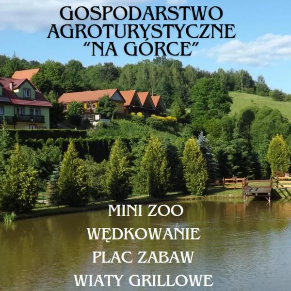 Gospodarstwo Agroturystyczne Na Górce Domek 1，位于莱斯科的酒店