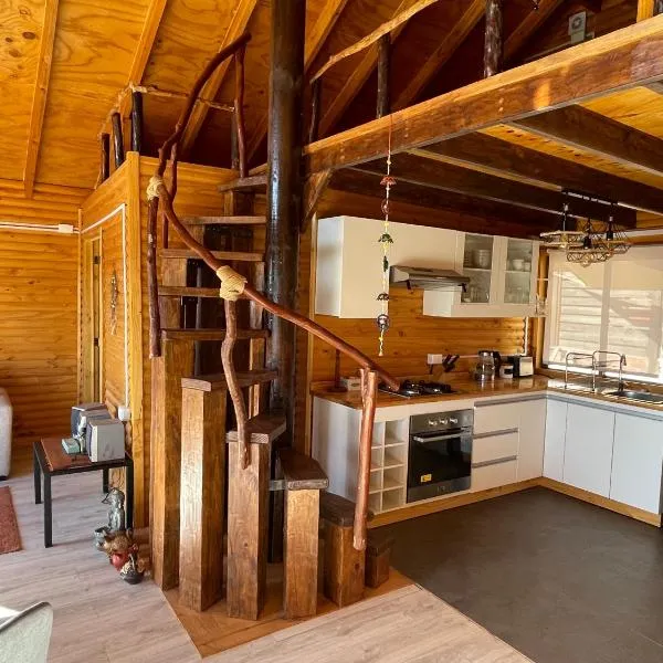 Cabaña Palafito，位于Coelemu的酒店