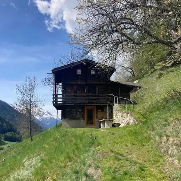 Chalet in Niederwald，位于Niederwald的酒店