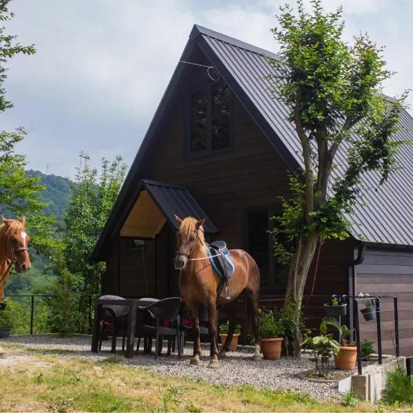 Cottage KOLKHA，位于卡瓦拉提的酒店